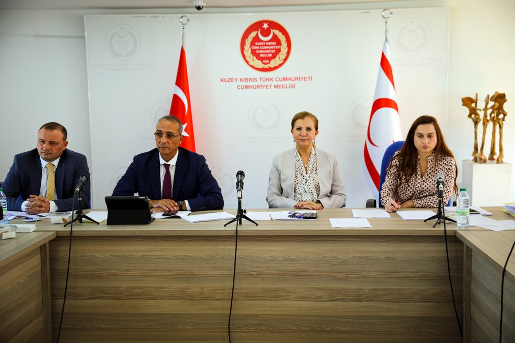 Meclis Ekonomi, Maliye, Bütçe ve Plan Komitesi toplandı
