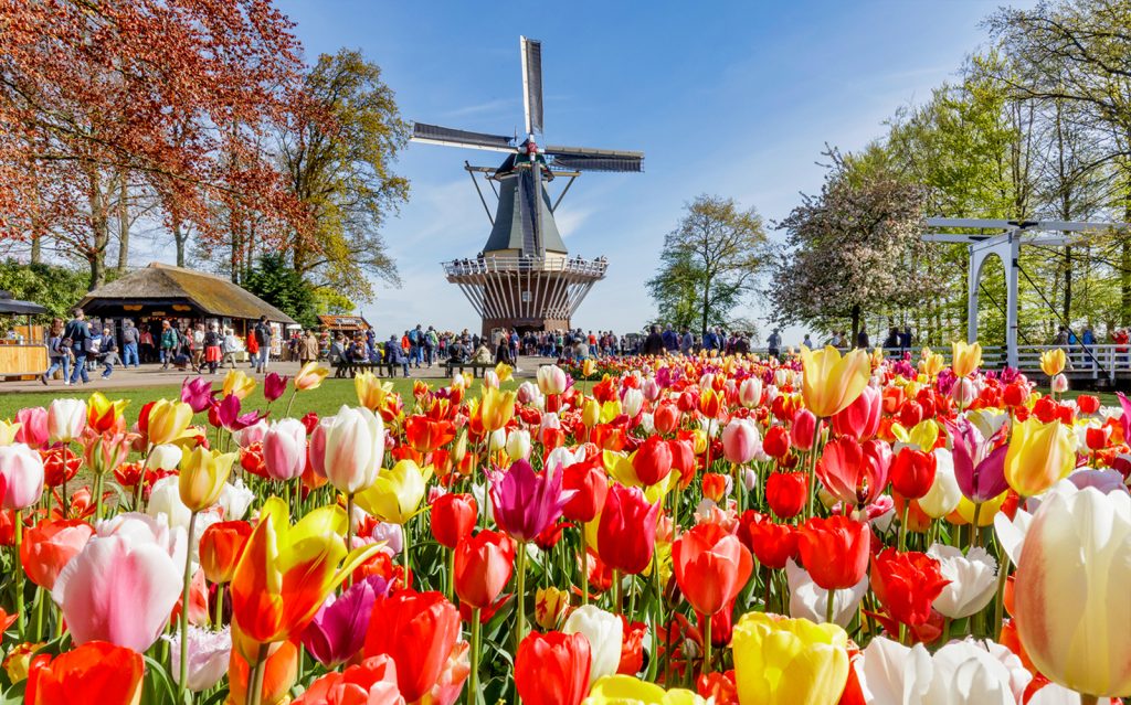 Hollanda’da dünyanın en büyük lale bahçelerinden Keukenhof, 74’üncü kez kapılarını ziyaretçilere açtı