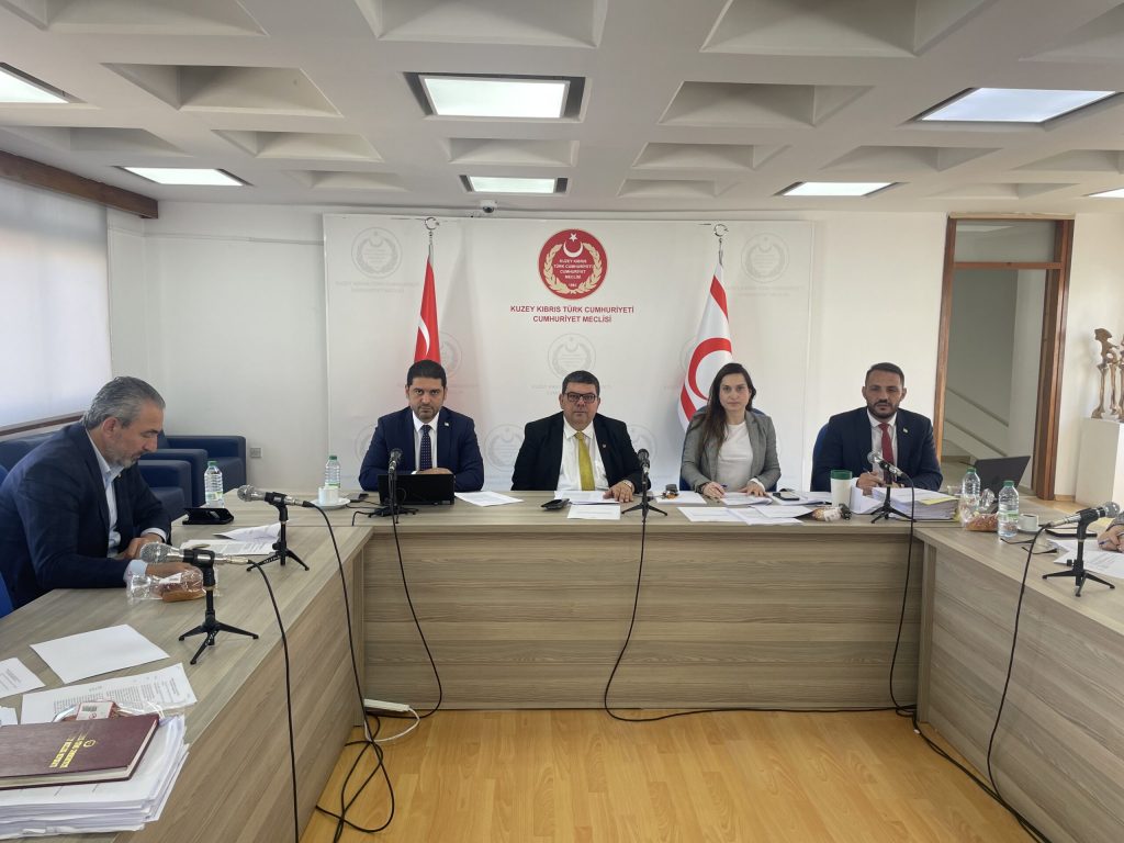 Doğal Afet ve Depremle İlgili Mevzuatın Düzenlenmesine İlişkin Meclis Komitesi toplandı