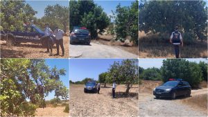 Polis harnup hırsızlığına karşı devriyeleri sıklaştırdı