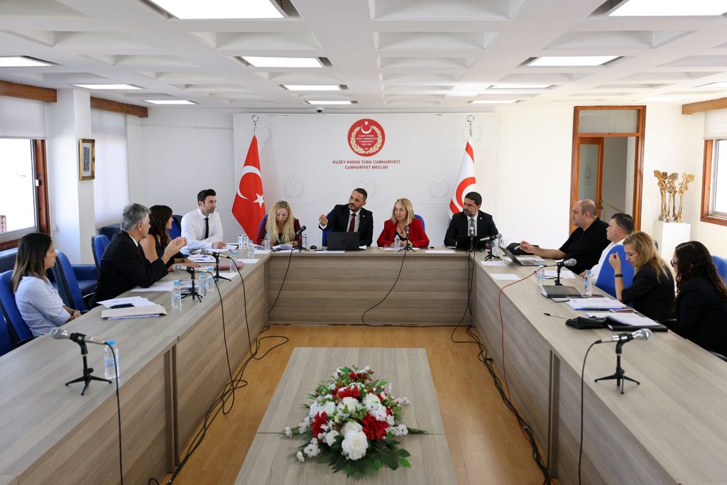 İdari, Kamu ve Sağlık İşleri Komitesi toplandı