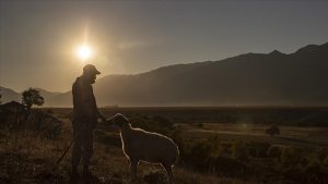 Türkiye’nin nüfusu artarken kırsalda nüfus azalıyor