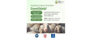 Küçükbaş hayvan üreticilerine yönelik eğitim programı