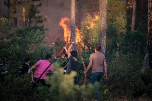 Türkiye’de orman yangınları: Bursa yangınlarında dört kişi hayatını kaybetti