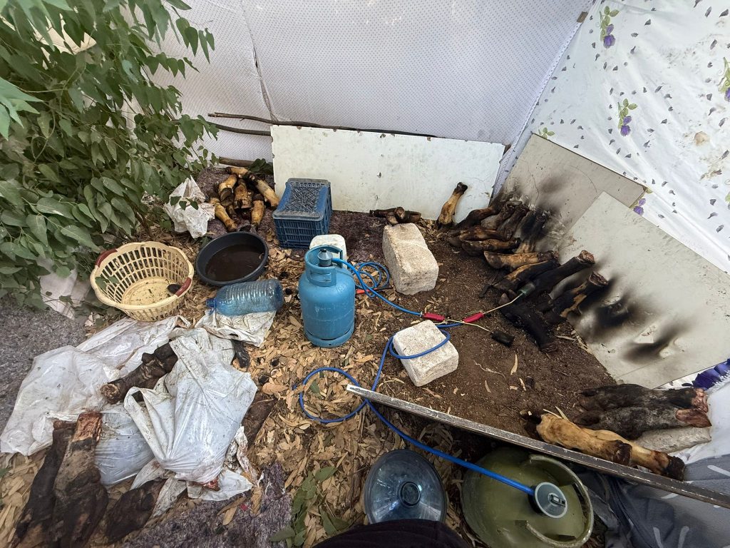 Gazimağusa Belediyesi Zabıta Birimi’nden suçüstü kaçak ürün operasyonu