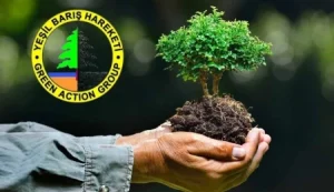 Yeşil Barış Hareketi Çevre Hakları Danışma Birimi hizmete başladı