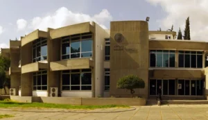 Hizmet Dernekleri Federasyonu’ndan 8 Mart’a özel “İlklerin İzinde: Kendi Yolunu Açan Kadınlar Paneli”