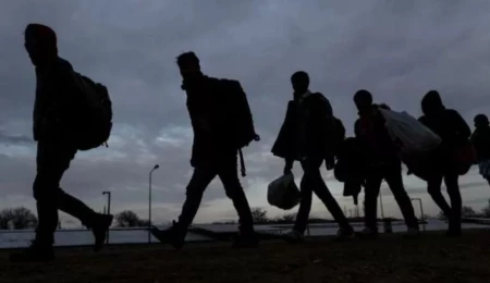 Güney Kıbrıs’ta 97 yabancı uyruklu sınır dışı edildi