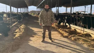 “Sütlerin alınmadığı, balyanın yemden pahalı olduğu bir ülke; üretimden soğuduk”