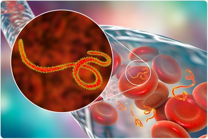 Bulaşıcı Hastalıklar Üst Komitesi’nden Ebola açıklaması