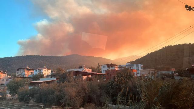 Mersin’de orman yangını çıktı
