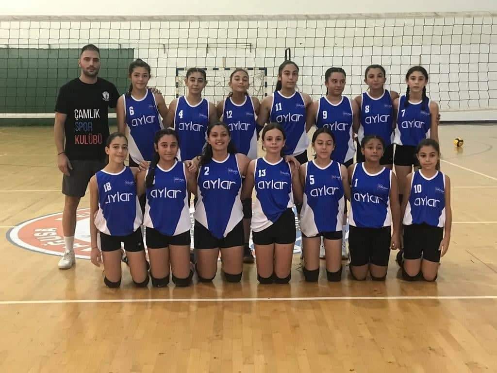 Voleybol Ligleri