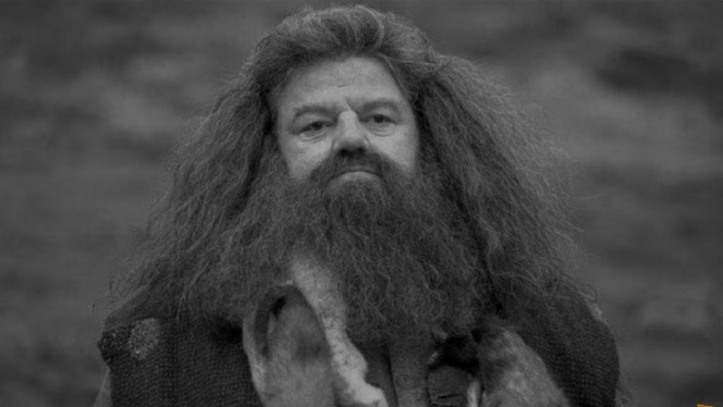 Harry Potter’ın ‘Hagrid’i, aktör Robbie Coltrane 72 yaşında hayatını kaybetti