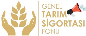 Brucella hastalığı zararı olan üreticilere tazminatları ödendi