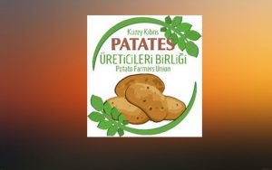 Kıbrıs Türk Patates Üreticileri Birliği’nden ithal tohumluk patates konusunda açıklama