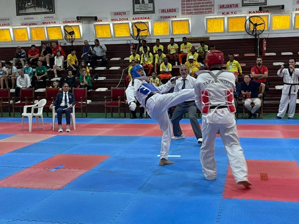 Taekwondoda uluslararası turnuvalar