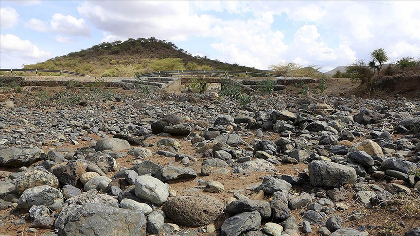 Kenya’da kuraklık yüzlerce yaban hayvanının telef olmasına yol açtı