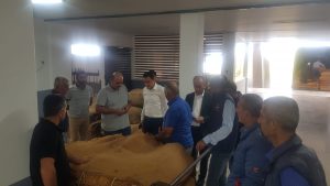 Bakan Oğuz, Mesarya bölgesinde ilk kez üretilen pipo tütünü hasadının teslimini yerinde inceledi