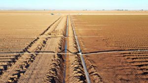 California’daki kuraklık ABD’nin gıda güvenliğini tehdit ediyor