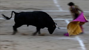 Fransa, barbarlık olarak görülen boğa güreşlerinin yasaklanmasını tartışıyor