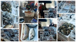 Uzmanların tüketilmesini önerdiği balık tezgahlarda her zaman yer buluyor