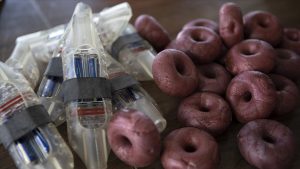 KKTC’deki yeşil deniz kaplumbağalarının yaşamı onlara emanet