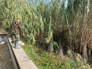 Sivrisinek mücadelesi; Vatandaşların su dolmuş depo ve benzeri kapları boşaltarak sivrisinek üreme alanlarının oluşmaması için dikkat etmeleri istendi