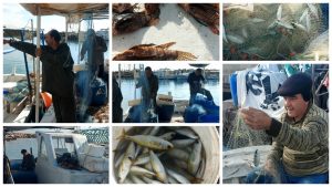 “Balıkçılık İzinleri ve Balıkçılık Kaynaklarının Sürdürülebilir Kullanımı Tüzüğü” Resmi Gazete’de yayımlandı