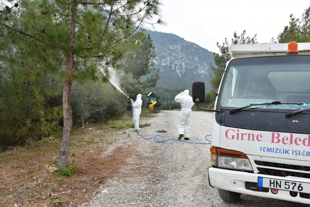 Girne Belediyesi halk ve hayvan sağlığını korumak için çam kese böceği ile mücadele ediyor