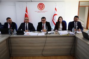 Doğal Afet ve Depremle İlgili oluşturulan AD-HOC Komite bir yasa önerisi hazırladı