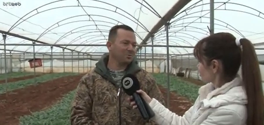 Gazioğlu karpuzu serada yetiştiriyor