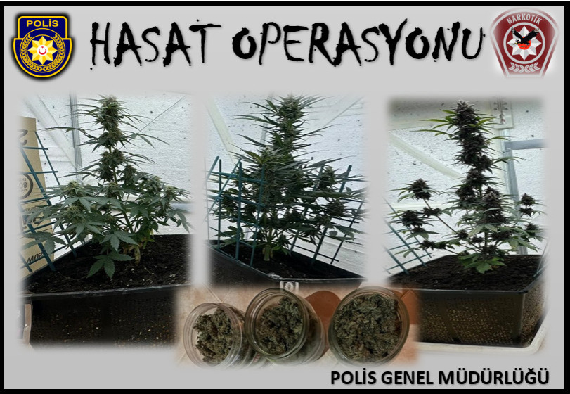 Lapta’da uyuşturucu operasyonu!