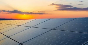 Aradip’te büyük bir güneş enerjisi parkı kuruluyor