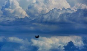 Havanın yarın ve pazar günü yağmurlu olması bekleniyor