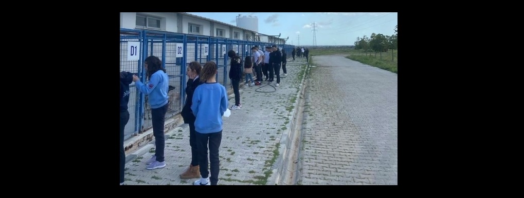 Gazimağusa TMK öğrencileri sokak hayvanları için bağış topladı