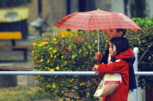 Yarın ve Çarşamba günü yağmur bekleniyor