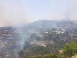 Yangın farklı kollardan yayılmaya devam ediyor