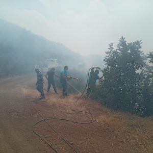 400 dönüm alan yandı