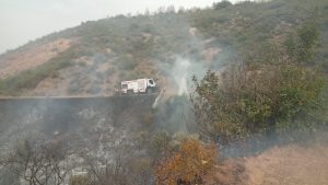 Yeşilırmak yangınının çıkış sebebi belli oldu