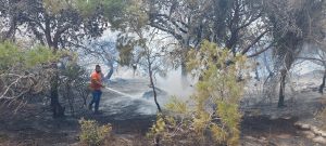 Yenierenköy – Dipkarpaz arasındaki yangın kontrol altına alındı, soğutma çalışması yapılıyor