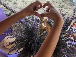 Mevlevi köyünde ‘Lavanta Bahçesi’