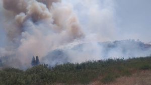 Milas-Bordum Havalimanı yolunda hızla yayılan yangın kontrol altına alınmaya çalışılıyor