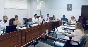 İdari, Kamu ve Sağlık İşleri Komitesi toplandı