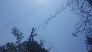 Yılan Adası’nda çıkan yangının sebebi kamyon damperinin elektrik tellerine çarpması