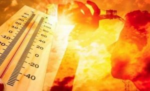 Dünya Meteoroloji Örgütü: Sıcaklık rekorları daha da artacak