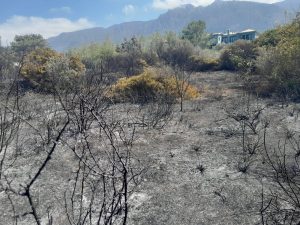 Alsancak’ta yangın!