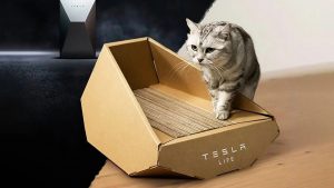 Musk ne yapmaya çalışıyor?: Tesla ilginç bir ürün tanıttı!