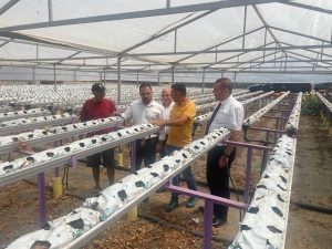 Tarım ve Doğal Kaynaklar Bakanı Çavuş, Lefke bölgesindeki üreticileri ziyaret etti