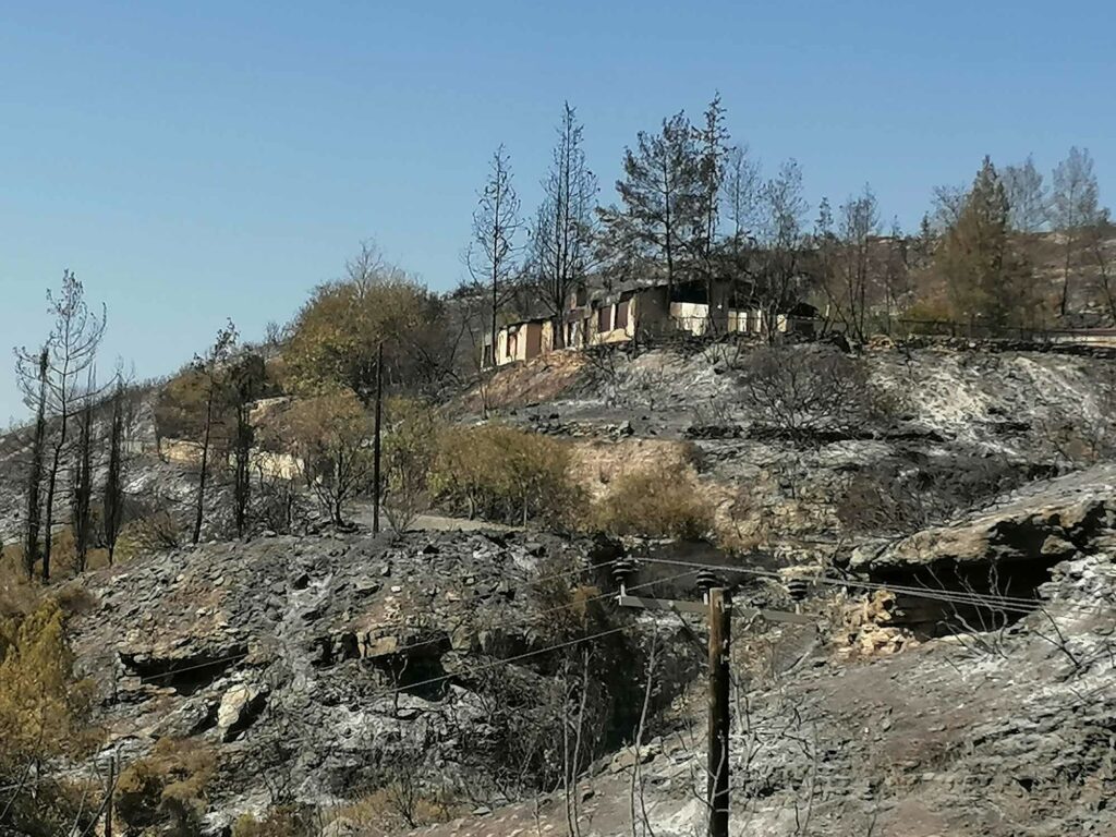 Limasol’daki yangın tamamen kontol altına alındı