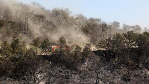 Yunanistan’da yangınla mücadele 13’üncü gününde